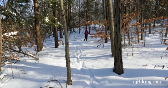 Snowshoer on Wawayanda's trails.