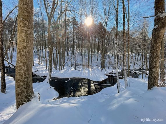 Curved brook surrounded by snow