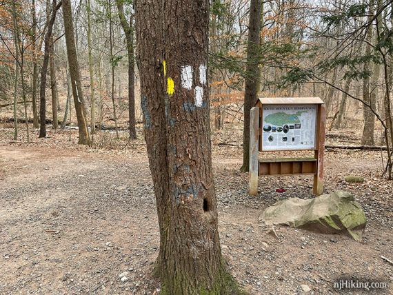 Map kiosk near yellow and white blazes on a tree.