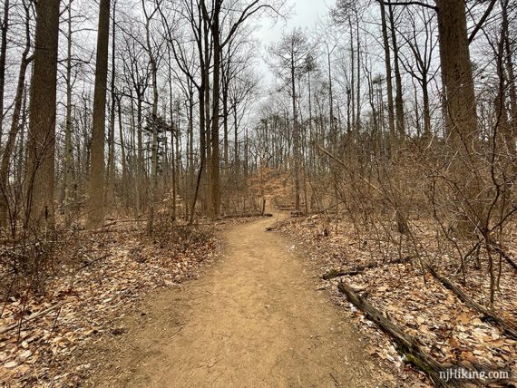 Wide level dirt path.