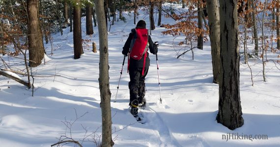 Hiker using snowshoes and poles to traverse a snow covered trail.
