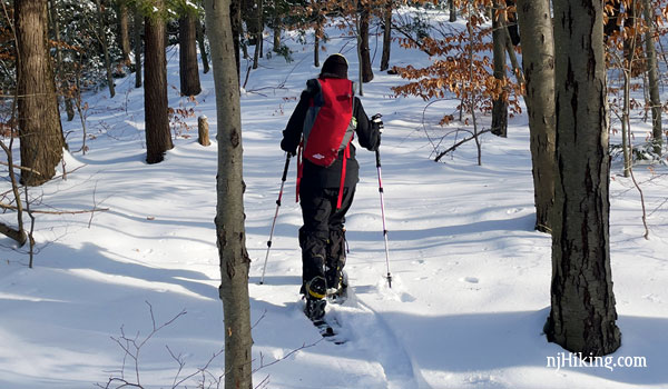 snowshoeing sasquatch mountain