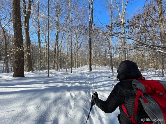 Snowshoer on trail.