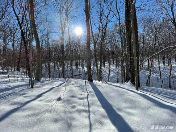 Snowy gorge