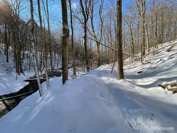 Snowy trail along a brook