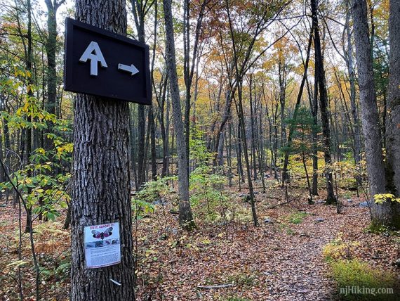 Appalachian Trail logo and arrow sign on a tree.