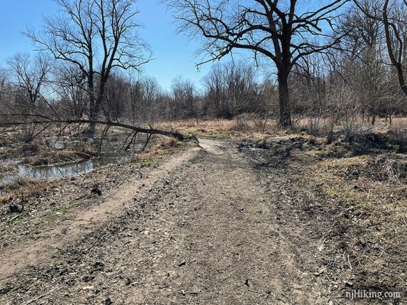 Dirt covered path