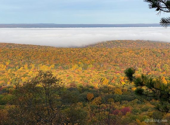 Bright fall foliage with low clouds hanging over.