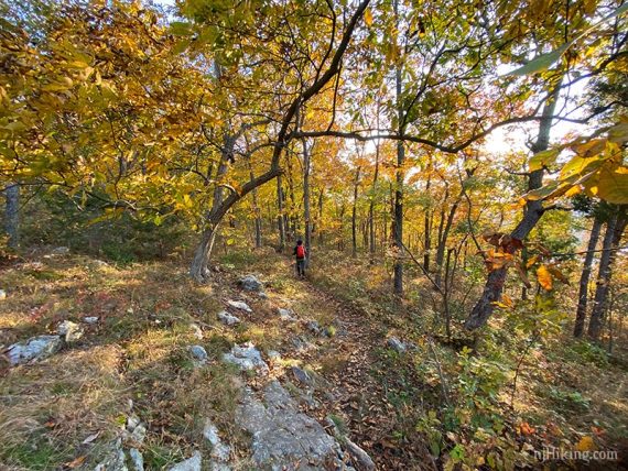 Hiker on a rocky trail surrounded by fall foliage.