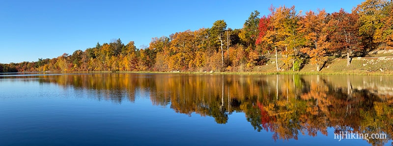 Row of fall foliage reflected in a blue lake.