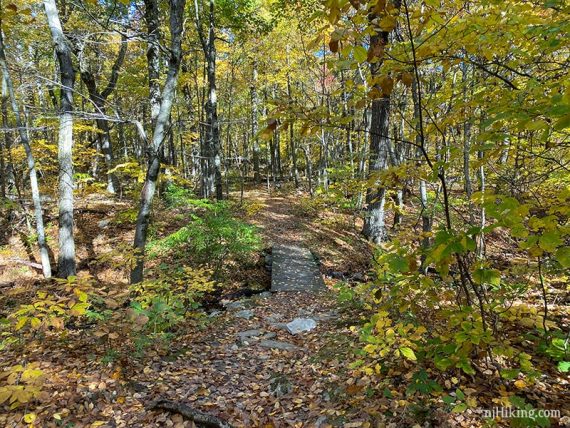 Wooden trail bridge.