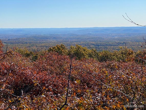 View of New Jersey from the Monument Trail.