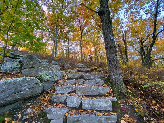 Stone steps on a trail.