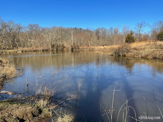 Pond at Tall Pines