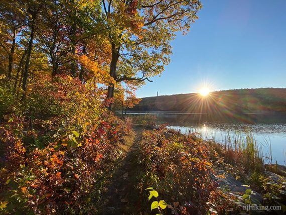 Trail at the edge of a lake with a sun flare on the hill beyond.