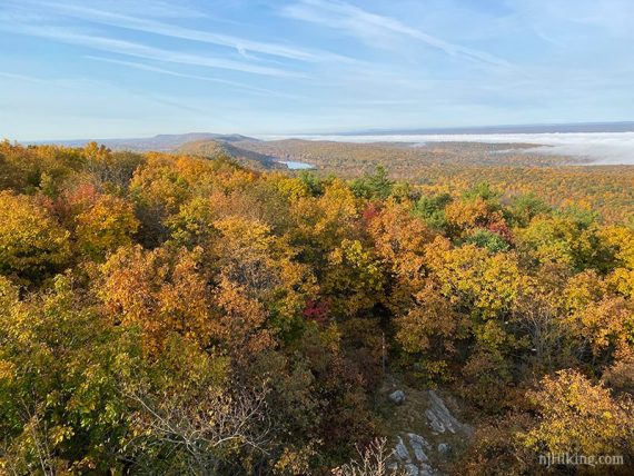 Fall foliage with hills and a lake in the distance.