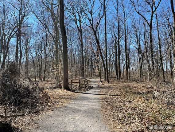 Flat gravel path surrounded by trees