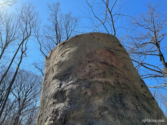 Large tree stump with blue sky above