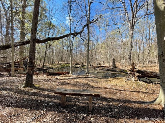 Bench with a brook behind it.