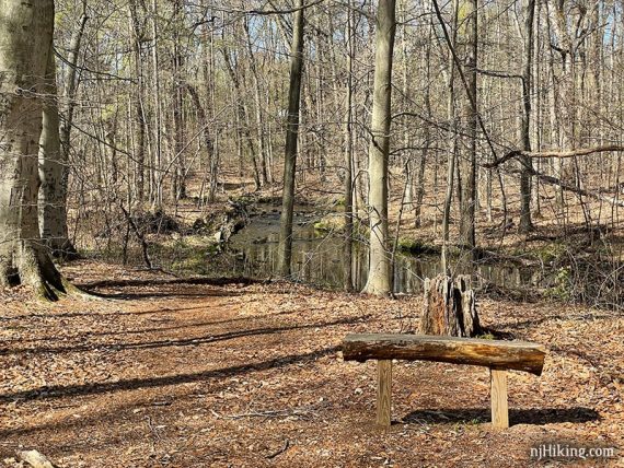 Wooden bench next to a curve in a brook