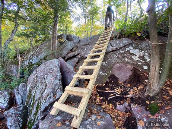 Hiker at the top of a ladder placed on a rock face.