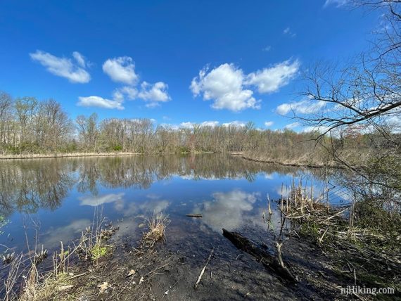 Farrington Lake