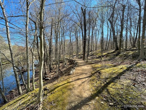 Trail next to a stream