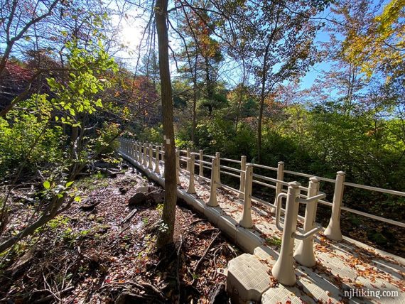 Floating bridge on a trail.