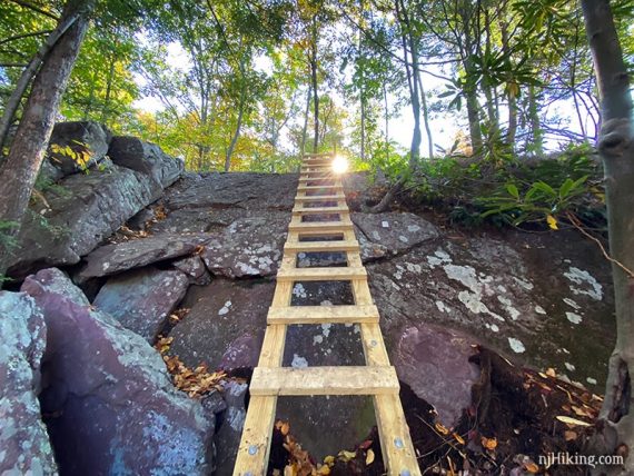 Wooden ladder placed on angled rock face.