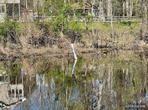 Metal sculpture in a lake