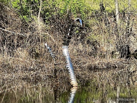 Close up of a metal sculpture that looks like a sea serpent