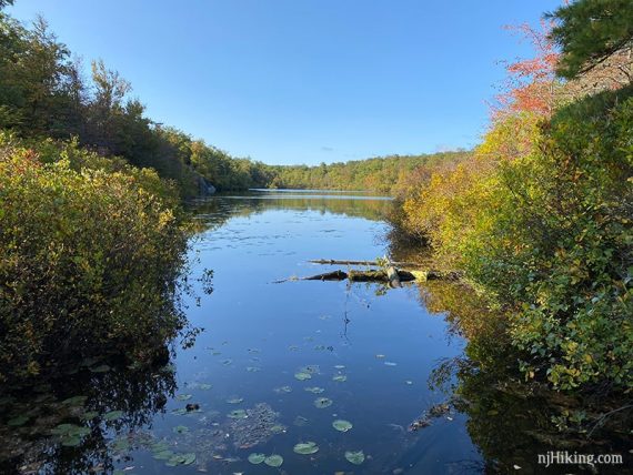 Terrace pond with vegetation on either side