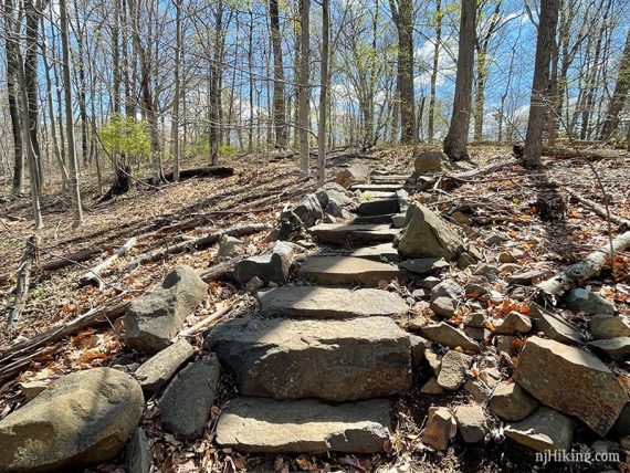 Rock steps on a trail