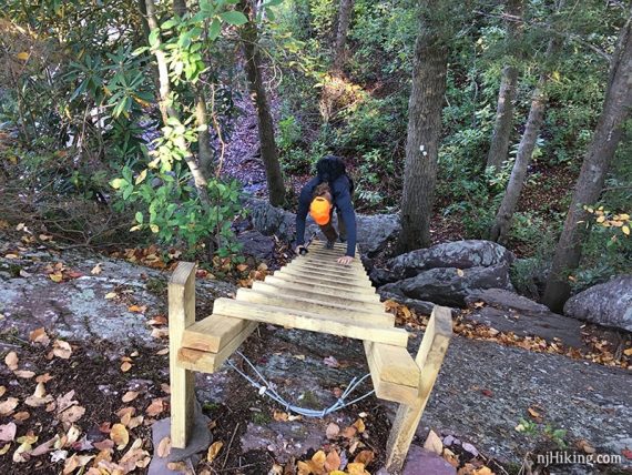 Hiker climbing wooden trail ladder.