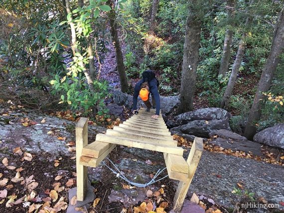 Hiker climbing wooden trail ladder