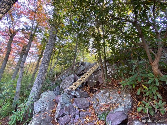 Ladder on a rock face.