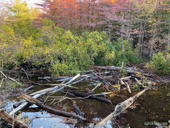 Logs in deep water.