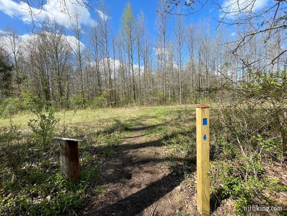 Trail crossing a pipeline cut