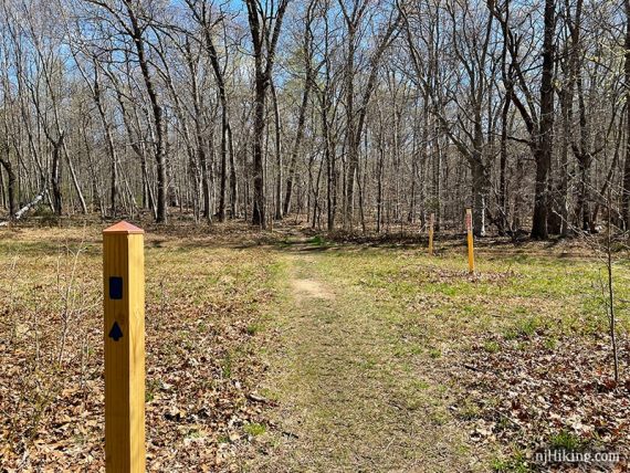 Wooden trail post with a blue marker.