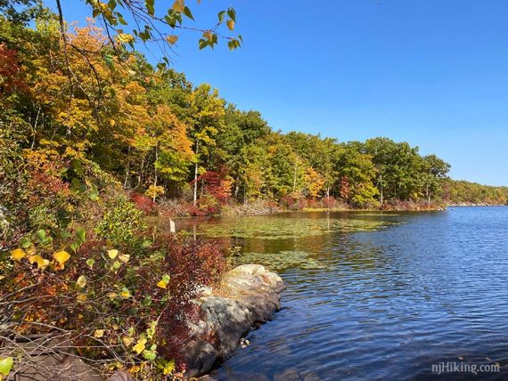 Yellow, rust, and green foliage at the edge of a blue lake.