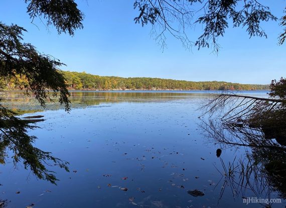 Wawayanda lake with evergreens on the sides.