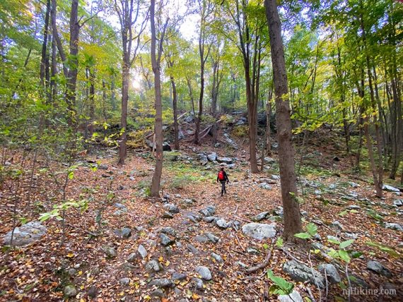 Hiker on rocky trail.