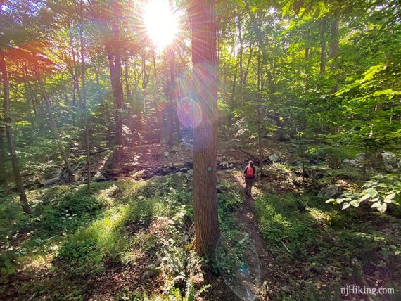 Hiker on the Highlands trail with sunlight streaming from above