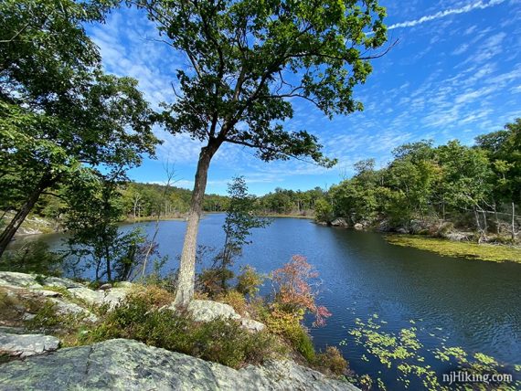 Bright blue lake and sky with a prominent tree on a rocky outcrop
