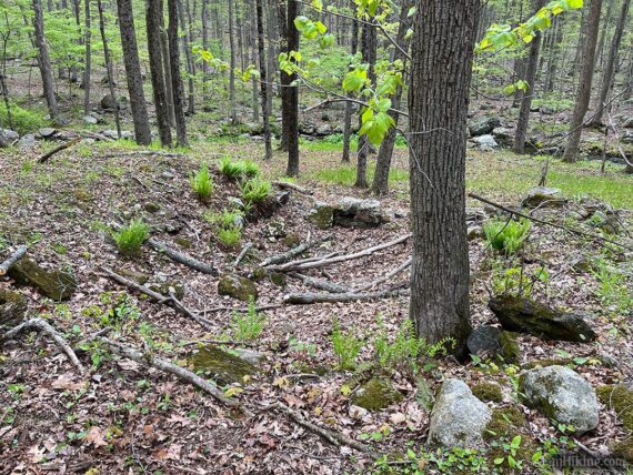 Ruins of the Morgan's place.
