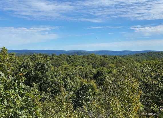 Green trees in foreground with low straight hills in the distance and a blue sky