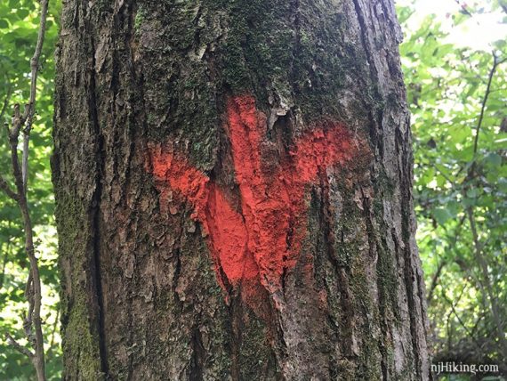 Red 3 pronged marker on tree.