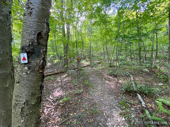 Red triangle on white rectangle trail marker on a tree