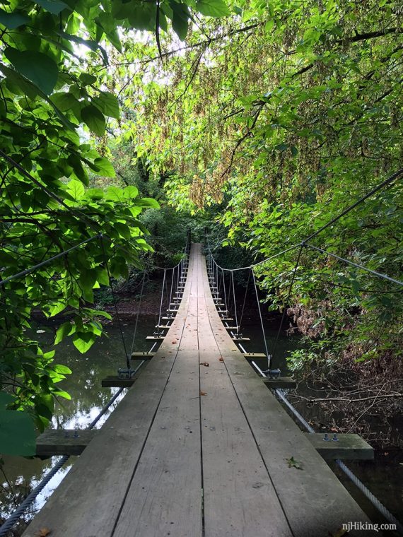 Swinging suspension bridge over a stream with green trees on both sides.