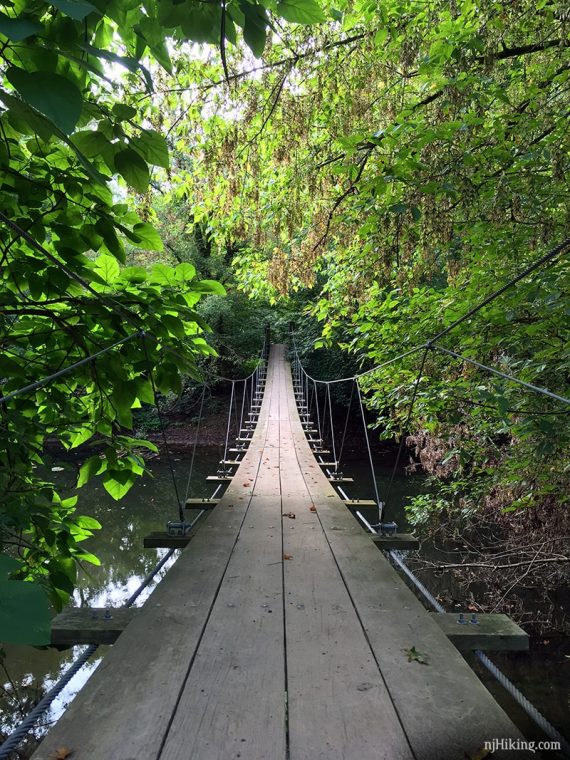 Swinging suspension bridge over a stream with green trees on both sides